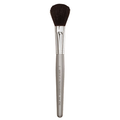 Professional Powder Brush